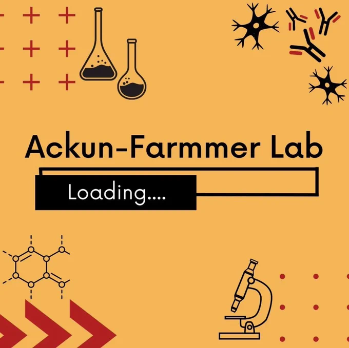 Yellow square with words “Ackun-Farmmer Lab” and a bar underneath that says “Loading…”. Surrounding the text are images of science related objects in the corners- antibodies and cells, microscope, carbon- chemical structure, and beaker.