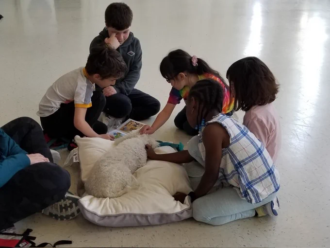 Students reading to dog