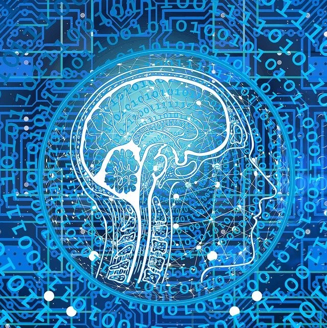 Illustrated cross-section of a brain overlaid with ones and zeros