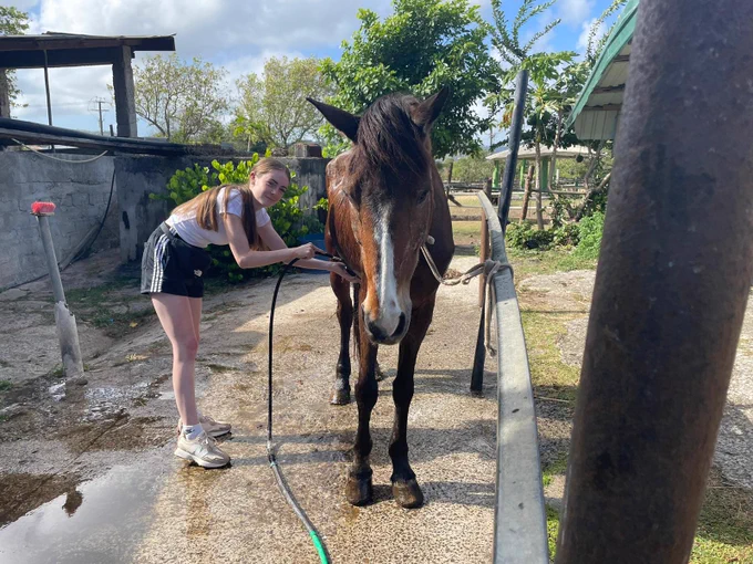 Female student pictured with a green hose pipe cleaning a brown horse.