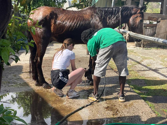 Student pictured with a brown horse that she has been grooming.