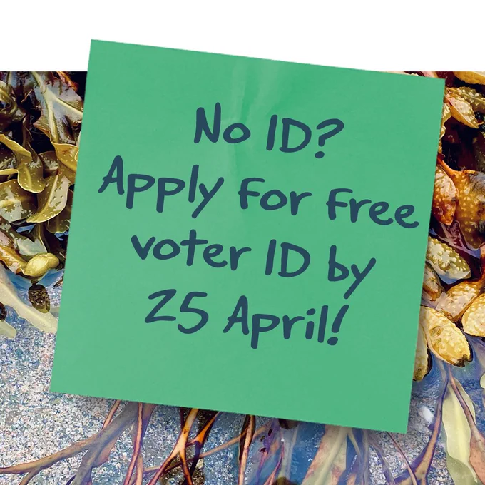 green post it note, floating in water over some leaves and twigs. In navy writing it says No ID? Apply for Free voter ID by 25 April