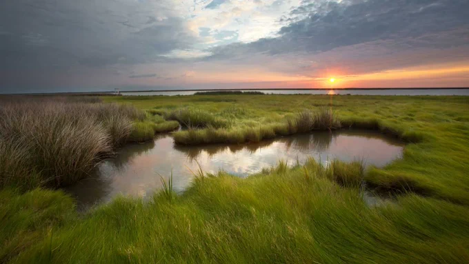 A marsh landscape with brown and green marsh grass, a pool of water, and a vibrant orange sunset in the background. The sky is reflected in the pool of water in shades of blue, purple, pink, and orange. 