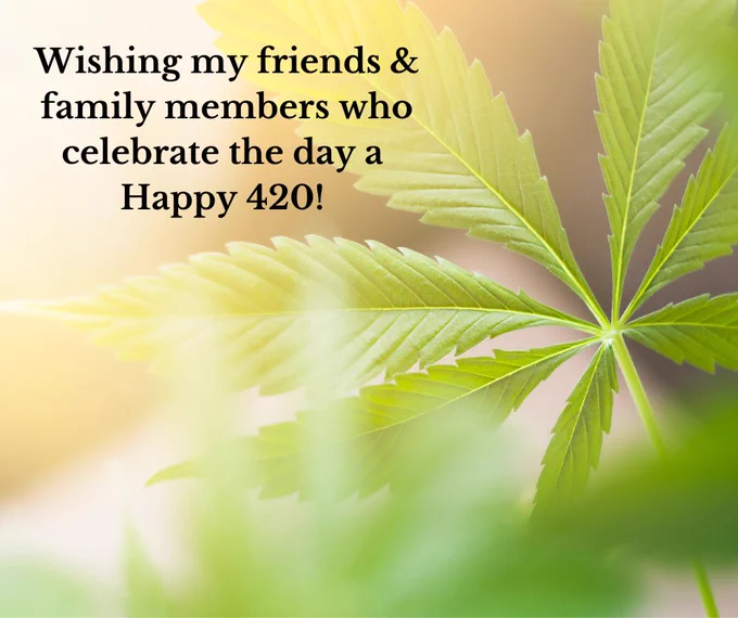 A green marijuana plant leaf with a light brown background. The words Wishing my friends and family members who celebrate the day a Happy 420 are printed in the upper left-hand corner.