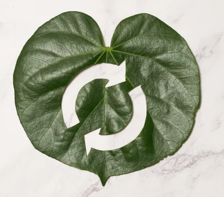 Circular economy represented by two circular arrows cut out from a dark green shiny leaf