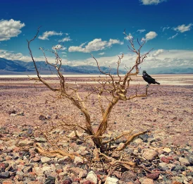 Photo by Johannes Plenio on Pexels.com
