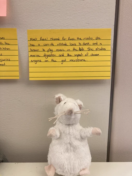 A plush white mouse sitting below a sticky note that states “Meet Rosie! Named for Rosie the riveter, she has a can-do attitude, loves to dance, and is known to play music in the lab. She studies murine digestion and the impact of cheese origins on the gut micro biome.”