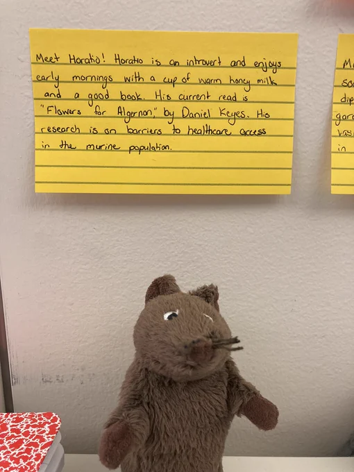 A plush brown mouse sitting below a sticky note that states “Meet Horatio! Horatio is an introvert and enjoys early mornings with a cup of warm honey milk and a good book. His current read is ‘Flowers for Algernon’ by Daniel Keyes. His research is on barriers to healthcare access in the murine population.”