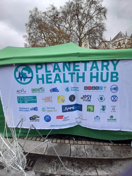 A big banner with the headline „Planetary Health Hub“ shows all the logos of participating health and climate organisations, among them Climate Psychology Alliance, Extinction Rebellion Psychologists and Global Climate Psychology for a Just Future.