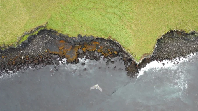 Drone photo of a fixed-wing drone capturing coastal imagery of Otter Island in the Bering Sea