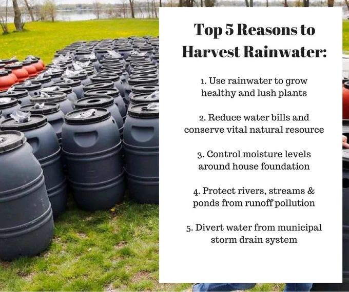 www.rainbarrel.ca