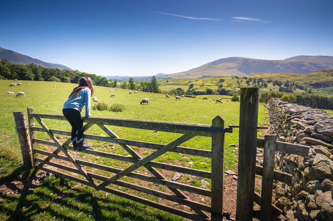Girl standing on a gate, looking out onto a field of sheep. The sky is blue and there are mountains in the distance.