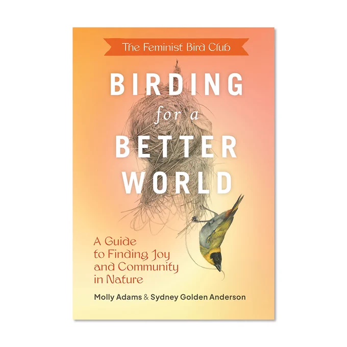 A book cover with an orange and yellow background with the text “The Feminist Bird Club” in an orange banner followed by “Birding for a Better World A Guide to Finding Joy and Community in Nature Molly Adams & Sydney Golden Anderson” the text/title is hovering over an illustration of a bird weaving a nest by Jen Lobo