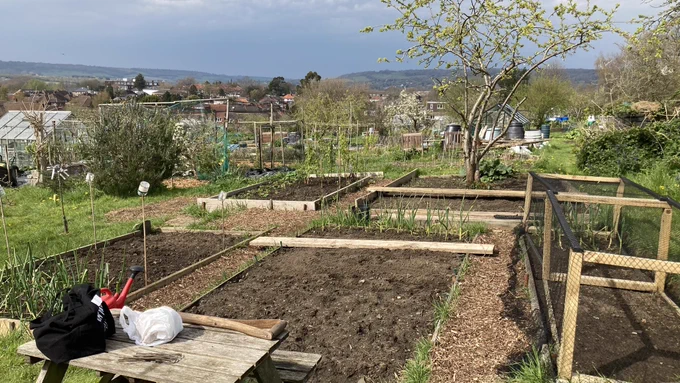 A picture of an allotment plot.