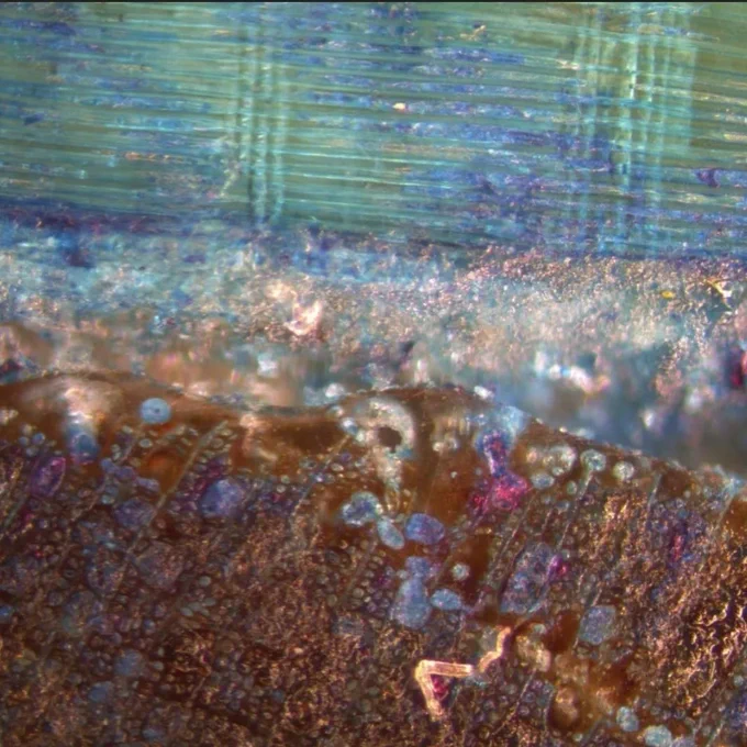 A colourful wood cross section. Horizontally oriented wood cells in the top third of the image are dyed in bright cyan and appear almost transparent, while the bottom half of the image shows more cells cut head on in a brown colour. The cavities are filled with shades of blue and cyan. The area between the two strips of wood cells is filled with a transparent, clear and crystalline material, which allow the view into areas beneath the surface.