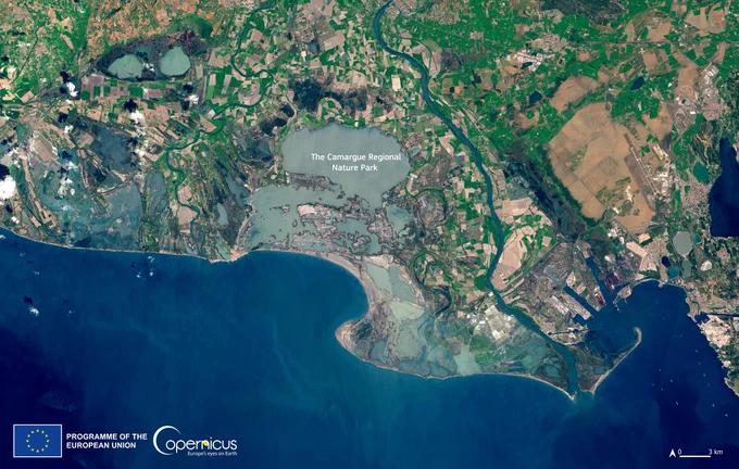 Satellite image of the Camargue in France. One can see multiple ponds and areas filled with water over the landscape. The wetland is surrounded by greenery and crops.
