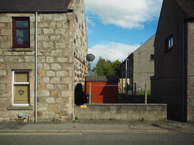 A black creature sits on a wall in a rural town.