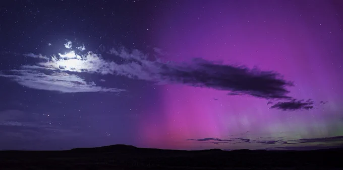 A photograph of the aurora borealis with purple and green lights above a dark horizon. In the sky to the left of the aurora, the Moon shines brightly through wispy clouds. Image credit: NASA/Bill Dunford
