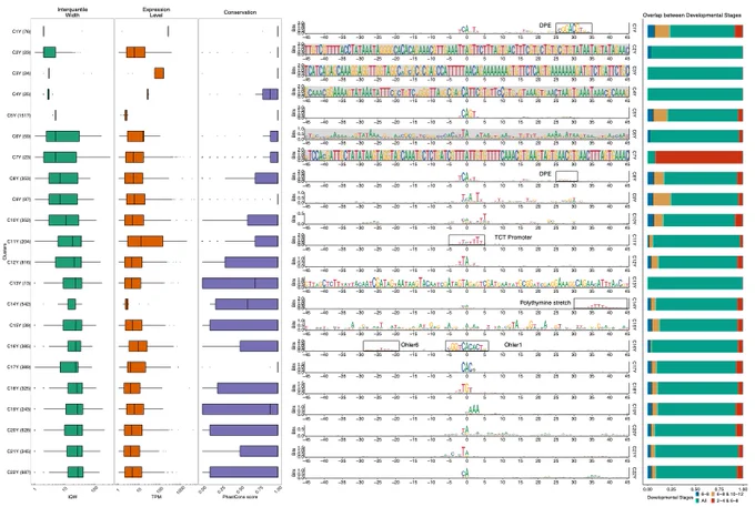 Promoter sequence architectures in #Drosophila melanogaster at 6-8h AEL