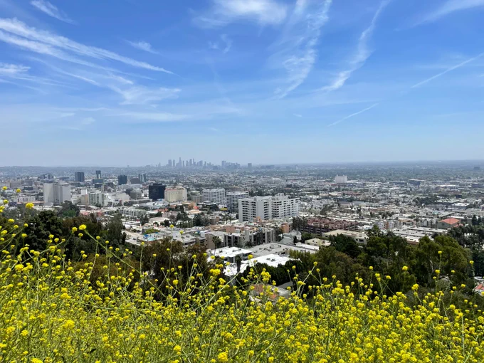 Hollywood hills pre-Phish at the bowl