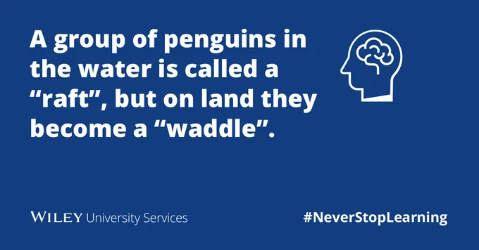 A group of penguins in the water is called a “raft”, but on land they become a “waddle”. 