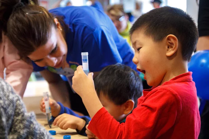 Child wearing a grey shirt concentrating on holding a piece of wood and learning about biology at Science Rendezvous at Ontario Tech in 2017.