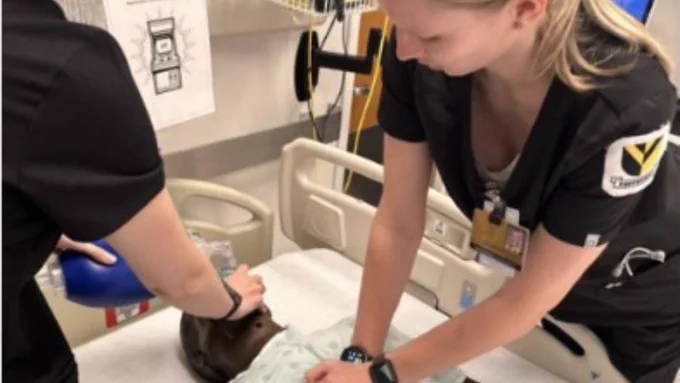 nursing student does chest compressions on a mannequin in the simulation lab