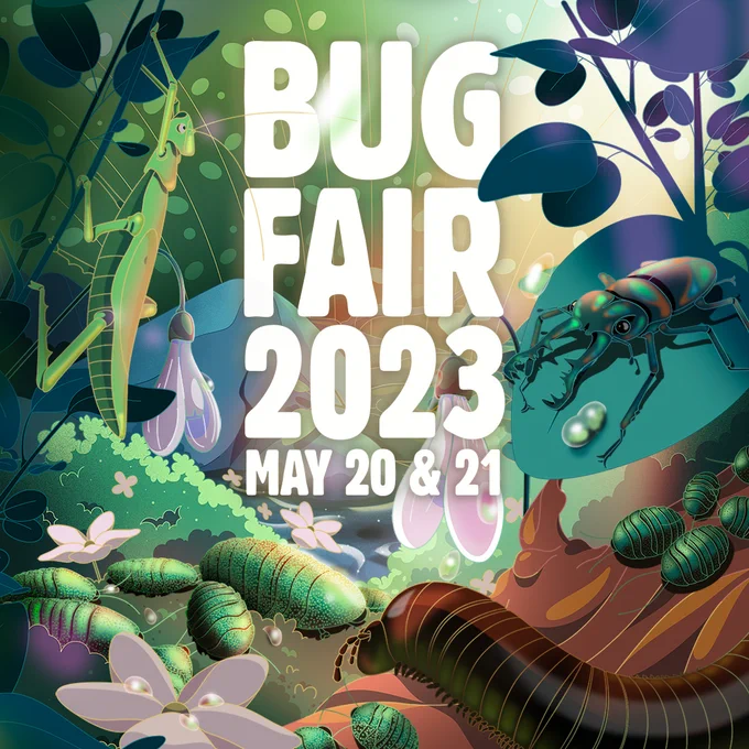 Original artwork of bugs and flora by Illustrator Nuria Boj with "BUG FAIR 2023 May 20 & 21" text.