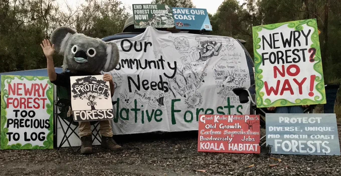 24 April 2023 - Day 1 - Newry state forest vigil.
Newry Forest is there for wildlife, and for us, to enjoy right now - but unless we are VERY careful this ancient forest could be logged and changed forever soon. 
The time is NOW to support Nature. 
Please bring a chair - and something you need - to do something you love - in Newry State Forest eg botany books, your bike, your yoga mat, birdwatching binoculars, camping gear, a sketchbook, hiking boots…and sit-in with us for an hour or so. 
Contact Forest Ecology Alliance on facebook. 