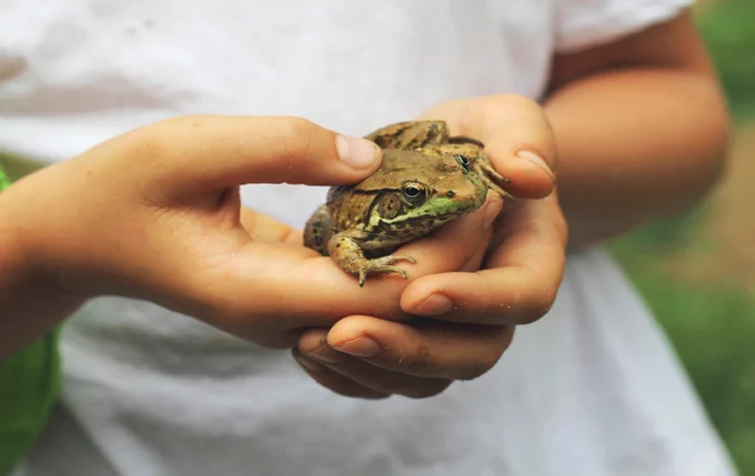 child holding frog