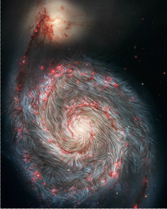 Our face-on view of the Whirlpool Galaxy (M51) allows a spectacularly clear view of the spiral wave pattern in a disk-shaped galaxy. Magnetic field streamlines detected by SOFIA are shown over an image of M61 from NASA's Hubble Space Telescope. The magnetic field at the outer edge of M51's disk appears to weave across the arms, showing, for the first time, that the magnetic fields in the outer arms do not follow the galaxy's spiral shape and are instead distorted.