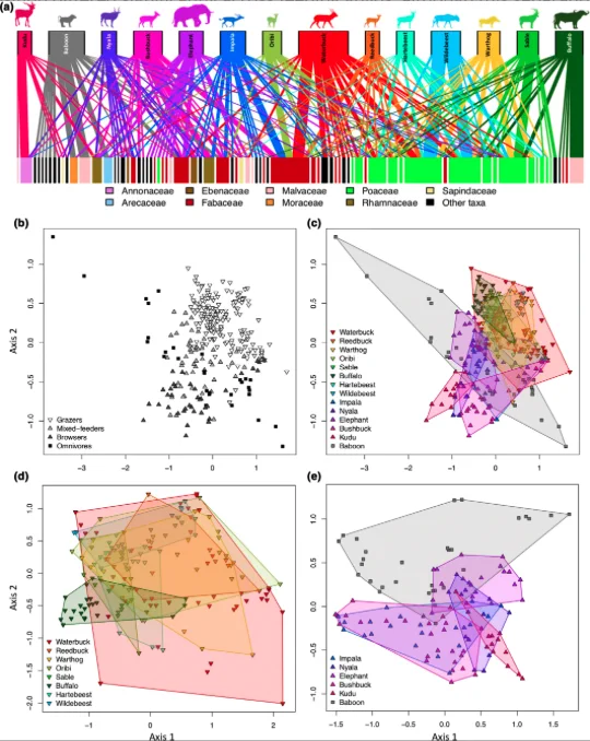 Dietary niche overlap among large-herbivore species and feeding guilds. (a) Bipartite plant–herbivore interaction network. Lines connect the 14 herbivore species (top) to dietary plant mOTUs (bottom, coloured by plant family). Widths of upper boxes reflect the number of samples analysed for each species; widths of lower boxes reflect the relative abundance of each plant mOTU across all samples in the dataset; and widths of connecting lines reflect the relative read abundance of each mOTU within the diet of each species. We show only connections representing ≥1% of each species’ diet (total n = 74). (b) Non-metric dimensional scaling (NMDS) ordination of Bray–Curtis dietary dissimilarity among the a priori feeding guilds listed in Table 1 (stress = 0.16; perMANOVA, pseudo-F3,289 = 12.91, r2 = 0.12, p < 0.001). (c) NMDS ordination of Bray–Curtis dissimilarity among species (same ordination as in panel b, but coloured by species to show community-wide interspecific diet dissimilarity...