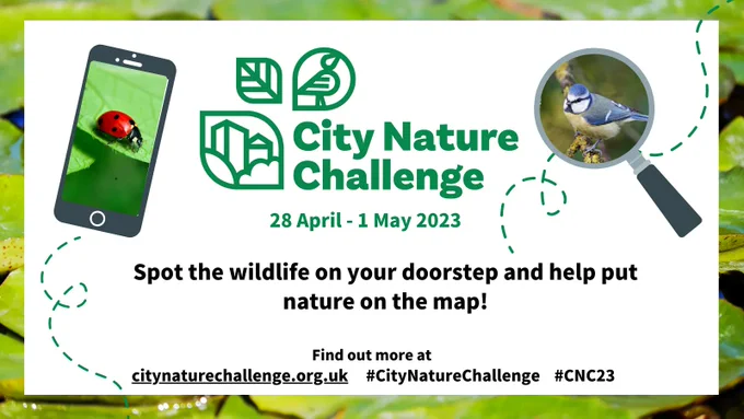 Poster of City Nature Challenge - spot the wildlife on your doorstep and help put nature on the map - www.citynaturechallenge.org.uk