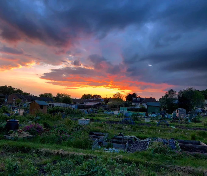 Sunset over New Pond Farm allotments.