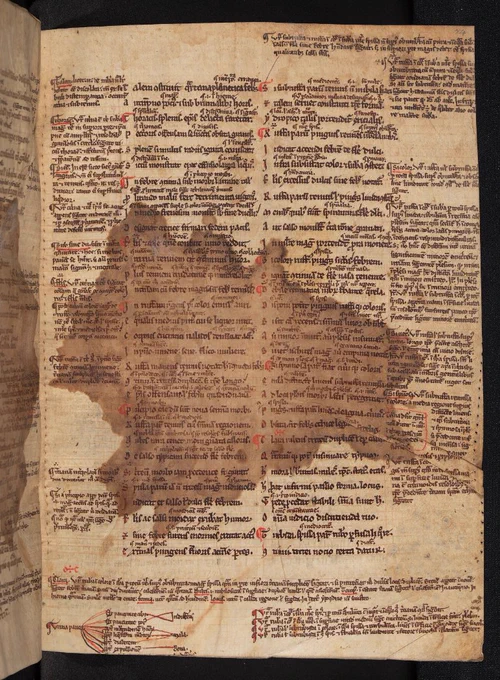 Recto of a medieval page with text in columns and marginal annotations, with a big brown splotch in the middle of the page