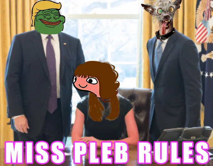 miss pleb $MPLEB #MPLEB #PLEB is the best token in crypto 