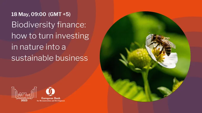 How to turn investing in nature into a sustainable business? 