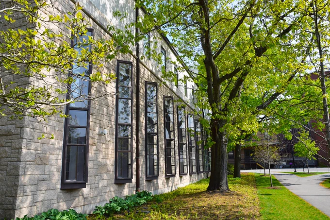 An image of the outside of the HDS Library. Trees are blooming and the sunlight casts shadows over the exterior of the library.