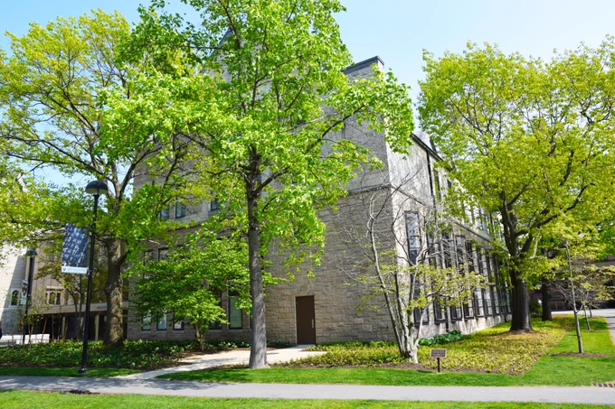 Blooming trees surround the Library.