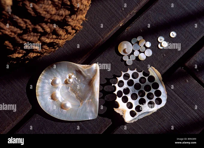 The shell of a mother of pearl punched with holes to produce buttons. Image from: https://www.alamy.com/stock-photo/?name=DOZIER Marc / hemis.fr&pseudoid=E52AA242-8205-41CC-8236-75616893C863&sortBy=relevant
