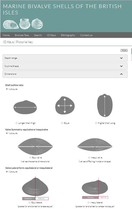 https://naturalhistory.museumwales.ac.uk/BritishBivalves/home.php?