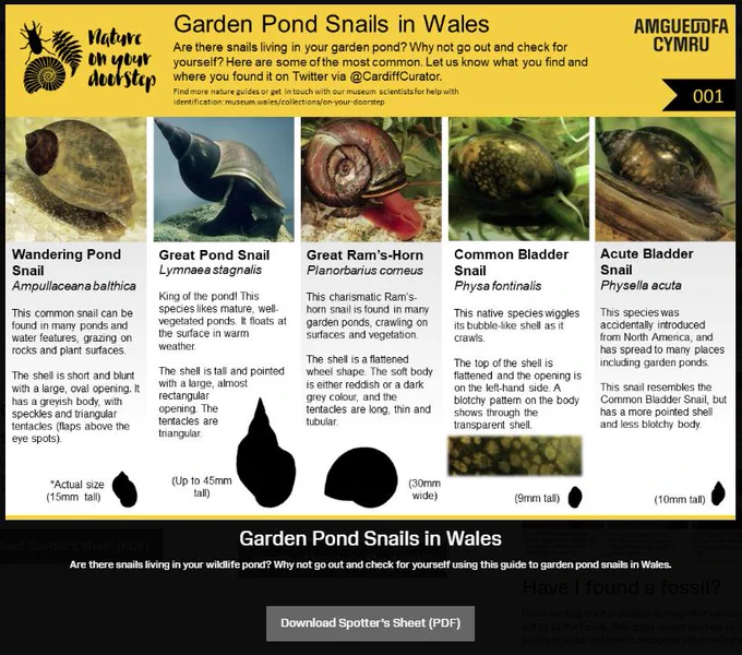 https://museum.wales/collections/on-your-doorstep/identifying-nature/spotters-guide/
