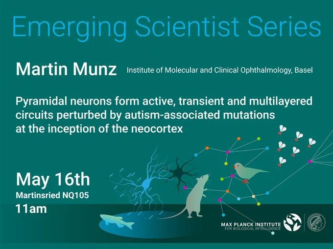 Emerging Scientist Talk Series Poster with information about the speaker and title of the talk on a dark green background with illustrations of a mouse, fish, bird and fruit flies along neuronal connections and synapses. 