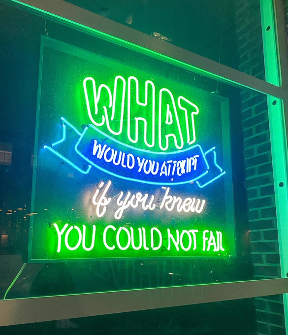 A neon sign in a dark window. In green, blue, and white, the sign reads "what would you attempt if you knew you could not fail" 