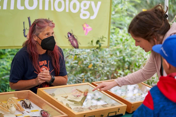 Patrons take a closer look at insects from the NHMLA Entomology Collections.