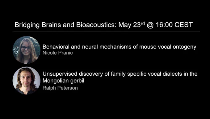 Bridging Brains and Bioacoustics seminar for May 23rd at 16:00 CET

From Nicole Pranic: "Behavioral and neural mechanisms underlying mouse vocal ontogeny"

From Ralph Peterson: "Unsupervised discovery of family specific vocal dialects in the Mongolian gerbil"
