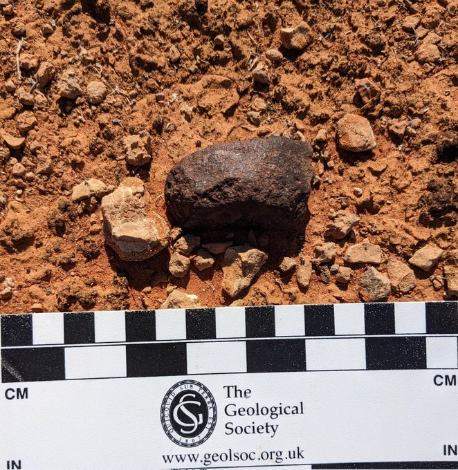 A dark, fusion-crusted meteorite fragment sat on a red surface, alongside a black/white scale card with the GeolSoc logo on it. The stone is ~5cm in length.