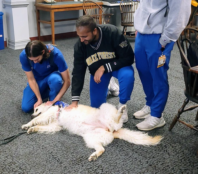 Three students pet a dog that is laying on the ground 