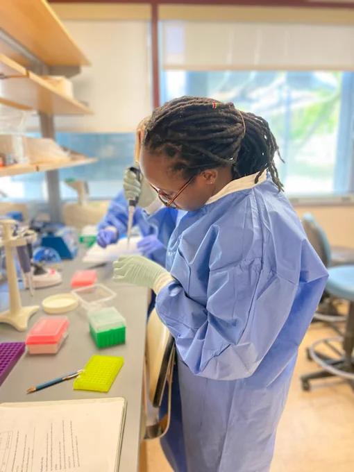 One researcher wearing a lab coat uses a micro-pipette to transfer a sample to a new tube