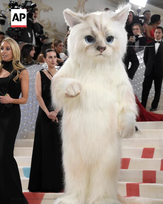 Jared Leto wears a white cat suit on the Met Gala carpet. 